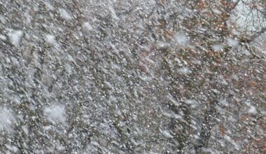 Alert RCB - zawieje, zamiecie śnieżne i silny wiatr (29/30.12) - Rządowe Centrum Bezpieczeństwa