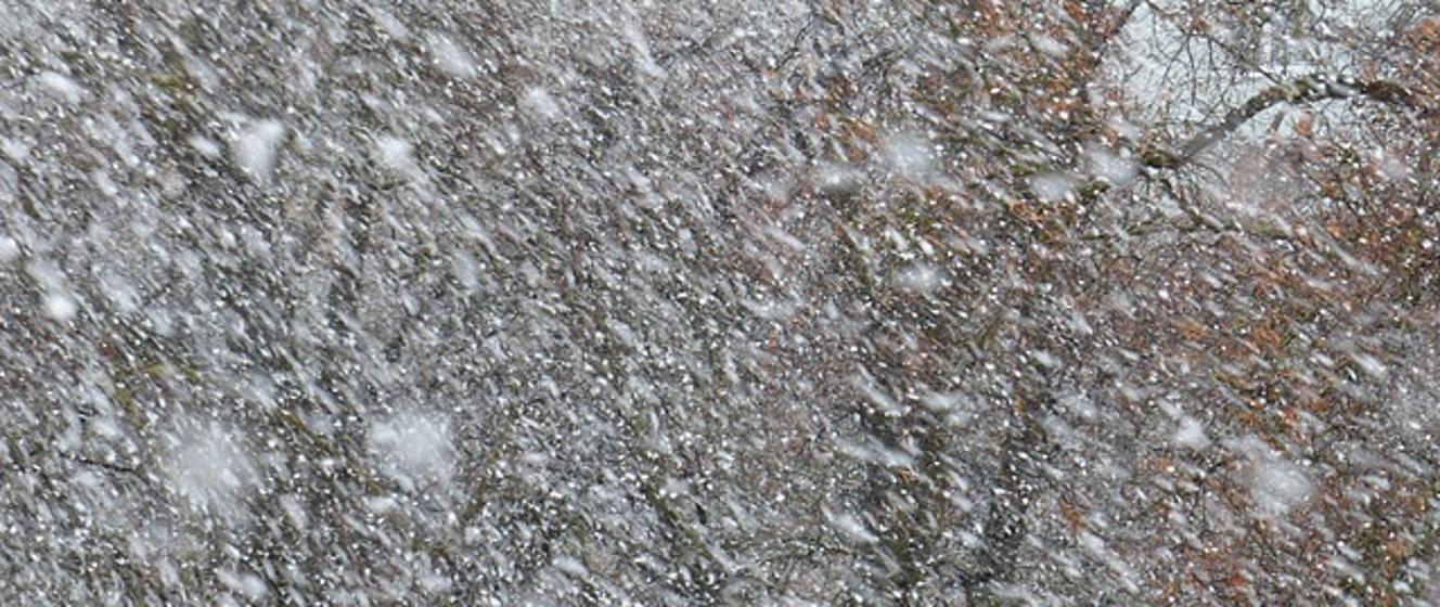 Alert RCB - zawieje, zamiecie śnieżne i silny wiatr (29/30.12) - Rządowe Centrum Bezpieczeństwa