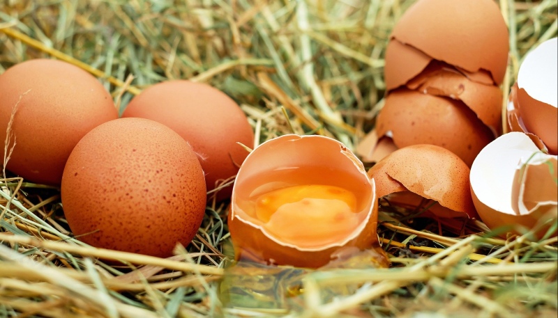 Ogromny wzrost importu jajek do Polski