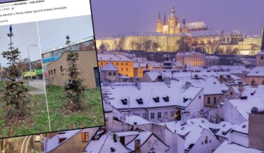 Choinka z Pragi podbija internet. "Popłakałam się, gdy ją zobaczyłam"