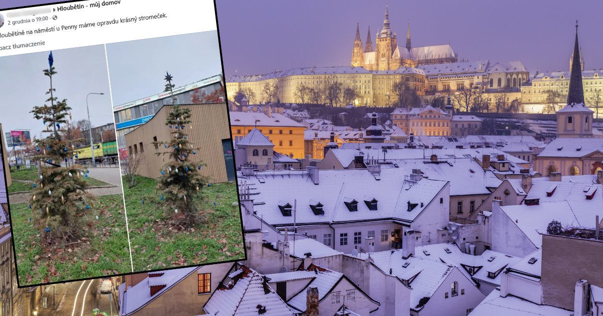 Choinka z Pragi podbija internet. "Popłakałam się, gdy ją zobaczyłam"
