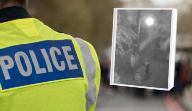 Koszmar w parku. Gwałcona 15-latka błagała o pomoc. Nikt nie reagował - Ofeminin