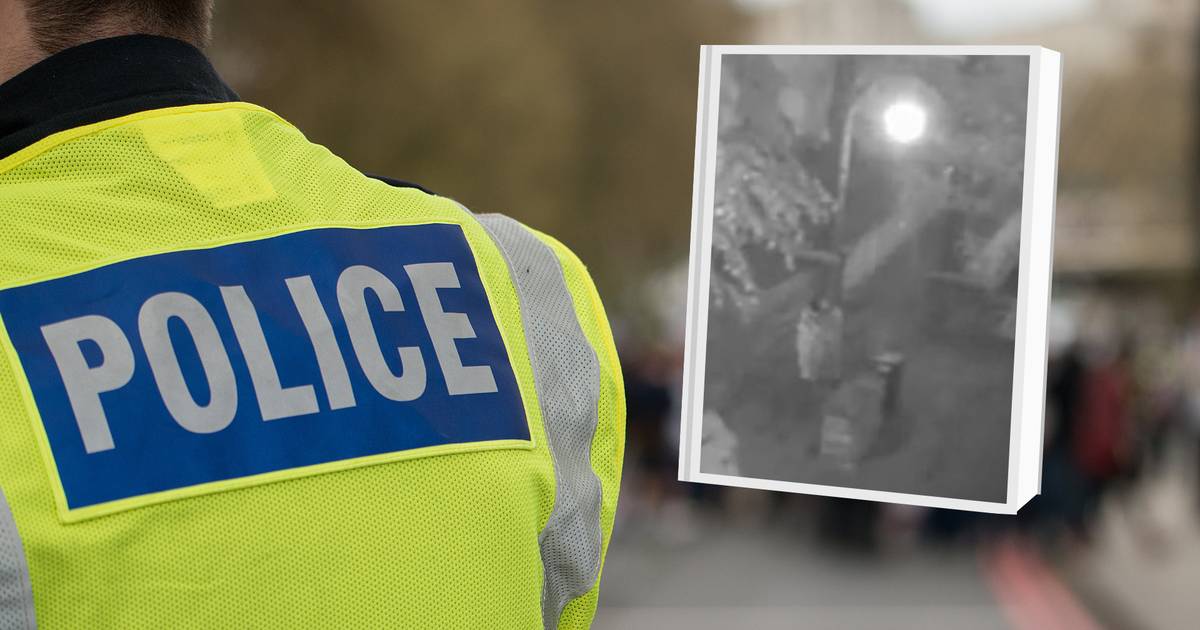 Koszmar w parku. Gwałcona 15-latka błagała o pomoc. Nikt nie reagował - Ofeminin