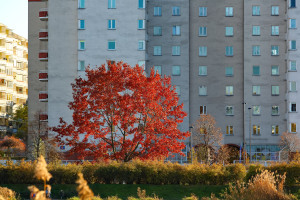 Koniec nagłych skoków rat. Nadchodzą nowe zasady kredytów na mieszkanie