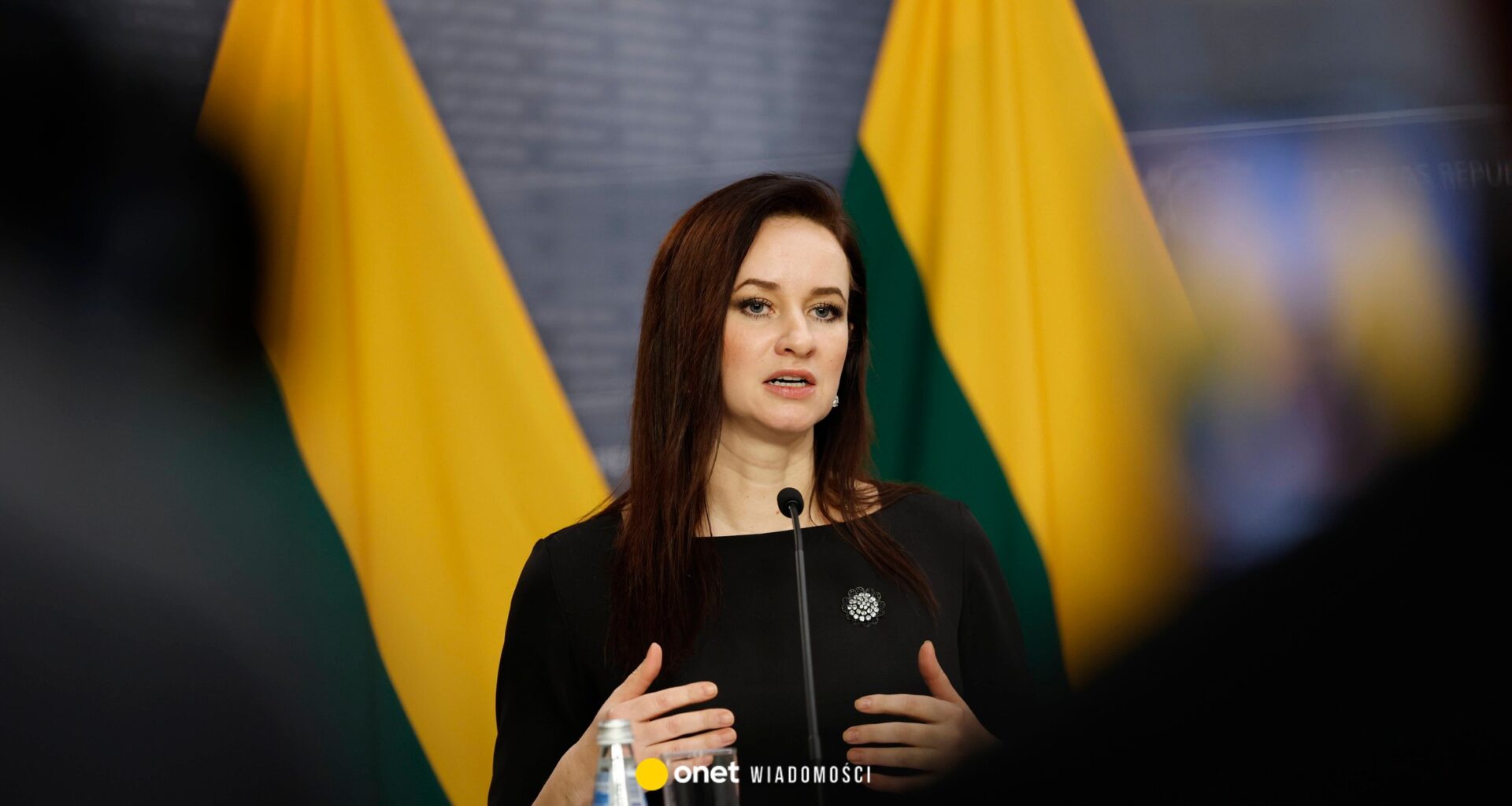 Litwa wprowadzi stan wyjątkowy. Powodem naruszenia przestrzeni powietrznej