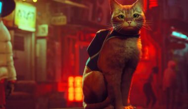 Afera z wydawcą a twórcami fizycznej edycji Stray. Jest pozew o oszukiwanie