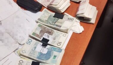 Śląscy kryminalni rozbili grupę przestępczą wykorzystującą kobiety - Wiadomości