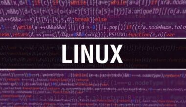 Rust wchodzi na salony. Linus Torvalds pokazał Linuxa 6.19