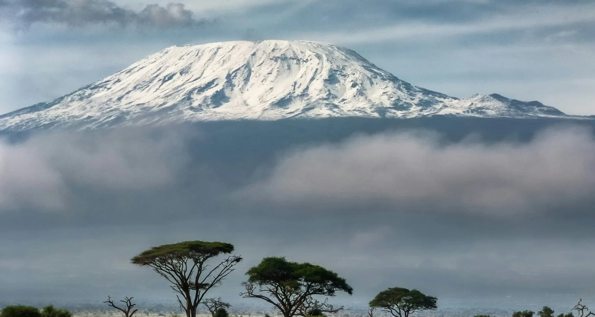 Widok na Kilimandżaro