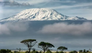 Widok na Kilimandżaro
