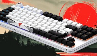 Recenzja klawiatury mechanicznej Dark Project ALU87A Fuji II - Cebula w orientalnym stylu! Japoński kuzyn ALU87A Onionite V2