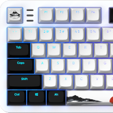 Recenzja klawiatury mechanicznej Dark Project ALU87A Fuji II - Cebula w orientalnym stylu! Japoński kuzyn ALU87A Onionite V2