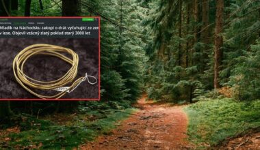 Zobaczył drut wystający z ziemi w lesie. Okazało się, że to 3000-letni skarb