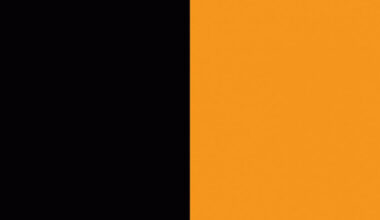 Wyciek danych z pomarańczowej platformy. Listy użytkowników złączone z imieniem i nazwiskiem