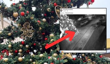 Nagrali, co zrobił przy miejskiej choince. "Przykro to pisać" - Onet