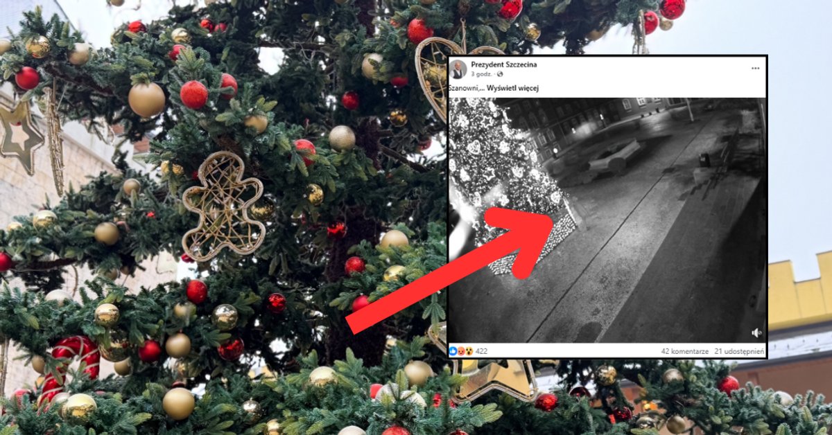 Nagrali, co zrobił przy miejskiej choince. "Przykro to pisać" - Onet