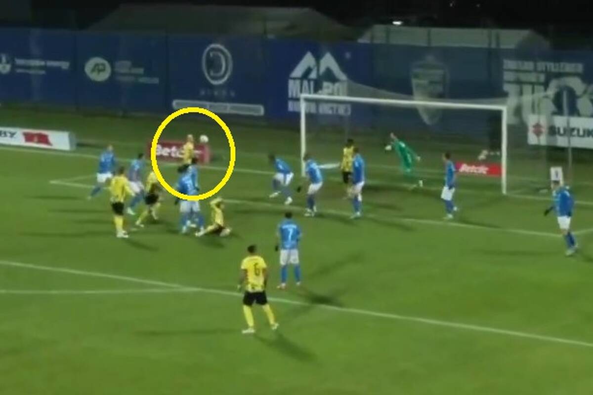 Zdjęcie użytkownika