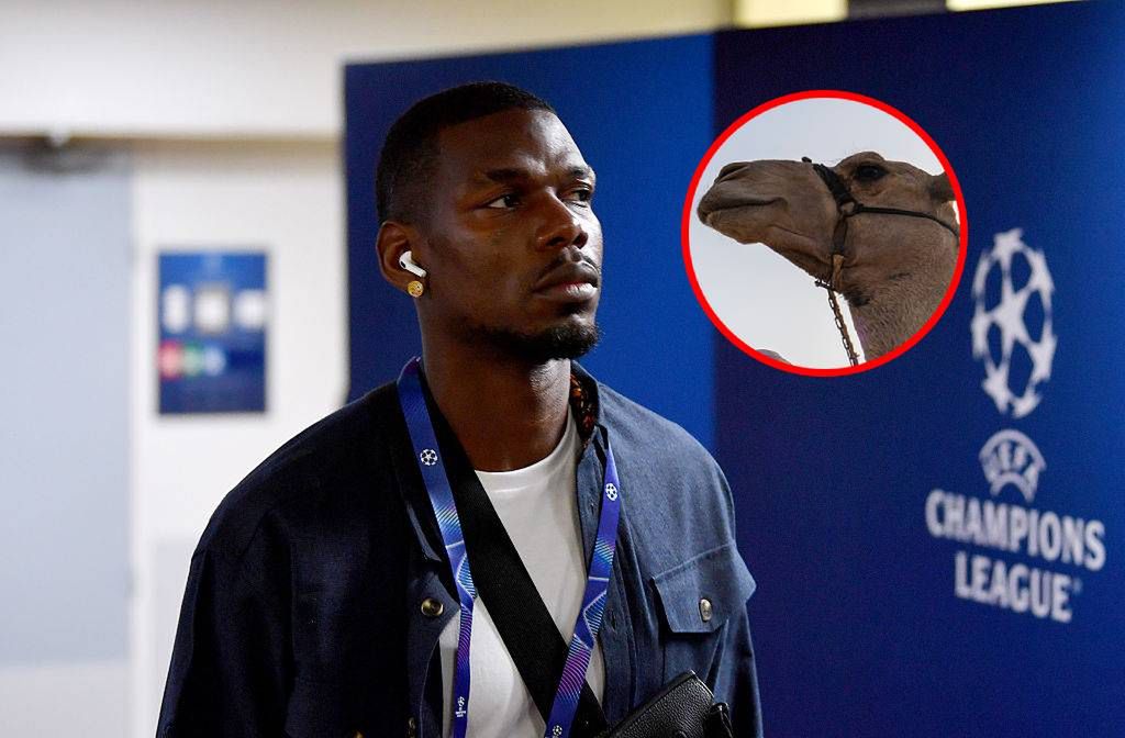 Szokujące zajęcie Paula Pogby. Tego się nikt nie spodziewał