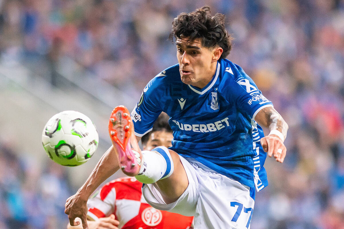 Zdjęcie użytkownika