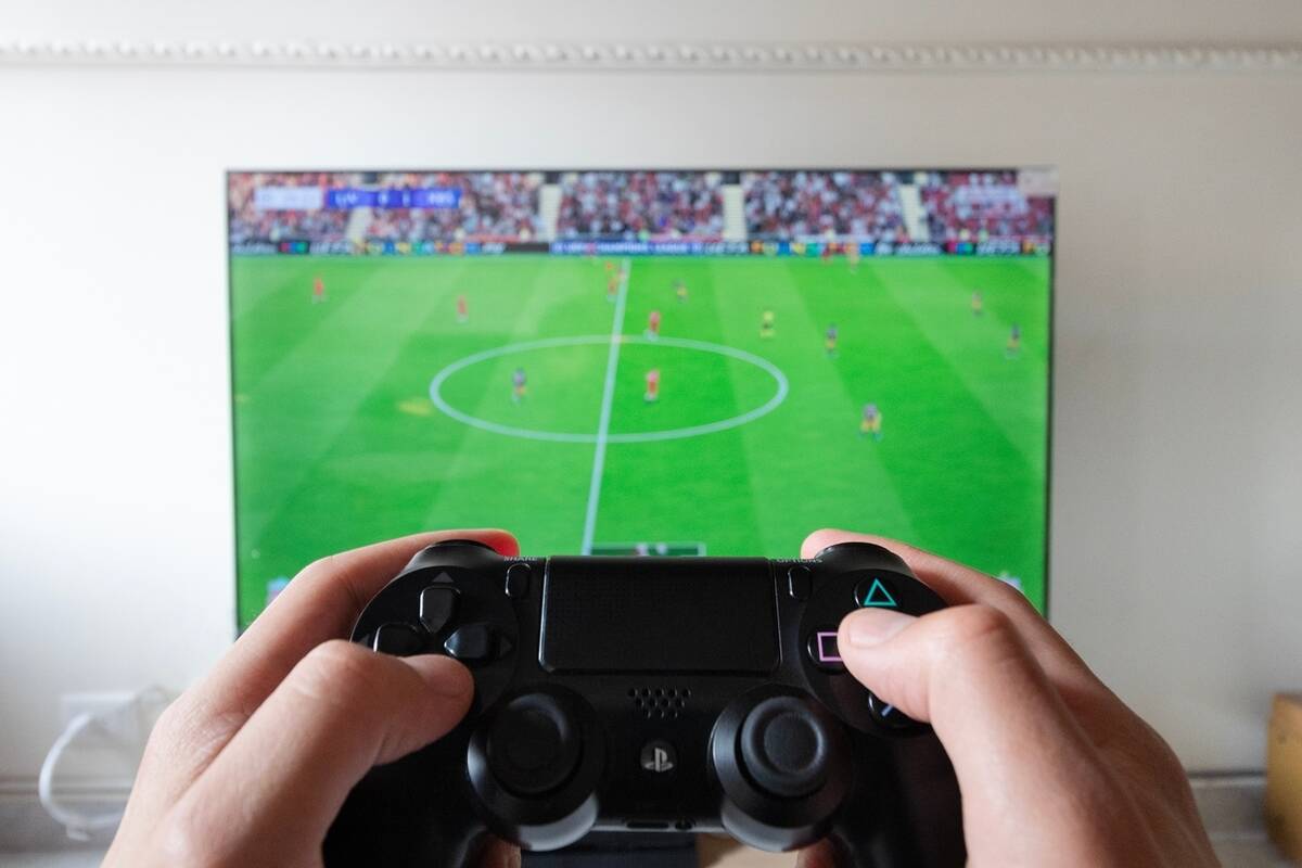 Zdjęcie użytkownika