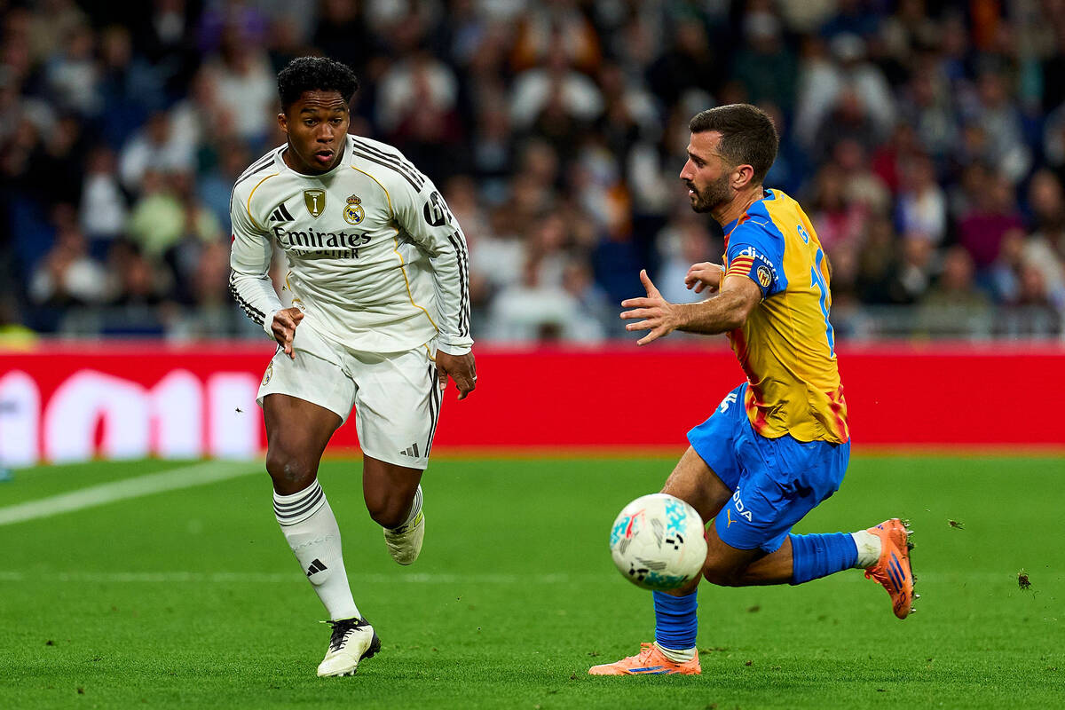 Zdjęcie użytkownika