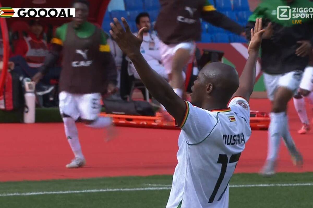 Zdjęcie użytkownika