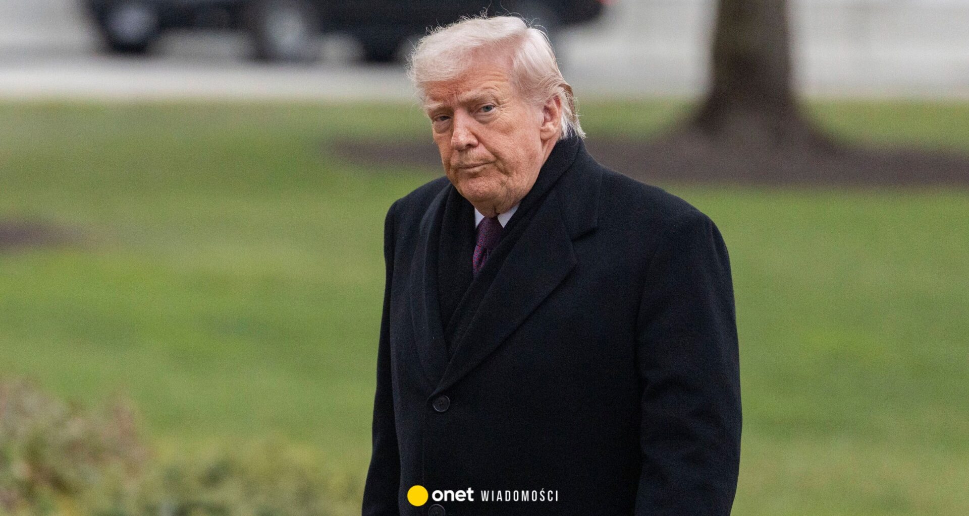 Donald Trump atakuje George'a Clooney'a. "Po prostu przeciętny facet"