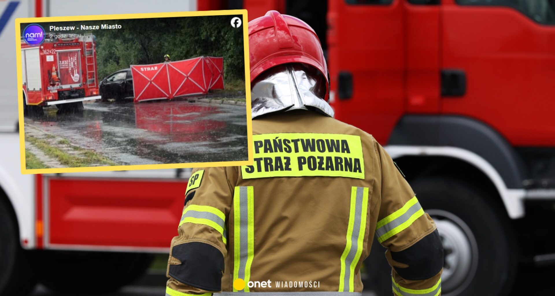 Tragedia w Wielkopolsce. Samochód elektryczny uderzył w drzewo i stanął w płomieniach - Onet Wiadomości