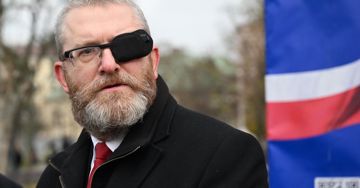 "Raport międzynarodowy". Będzie delegalizacja partii Grzegorza Brauna? "Nic mu tak nie pomoże" - Onet