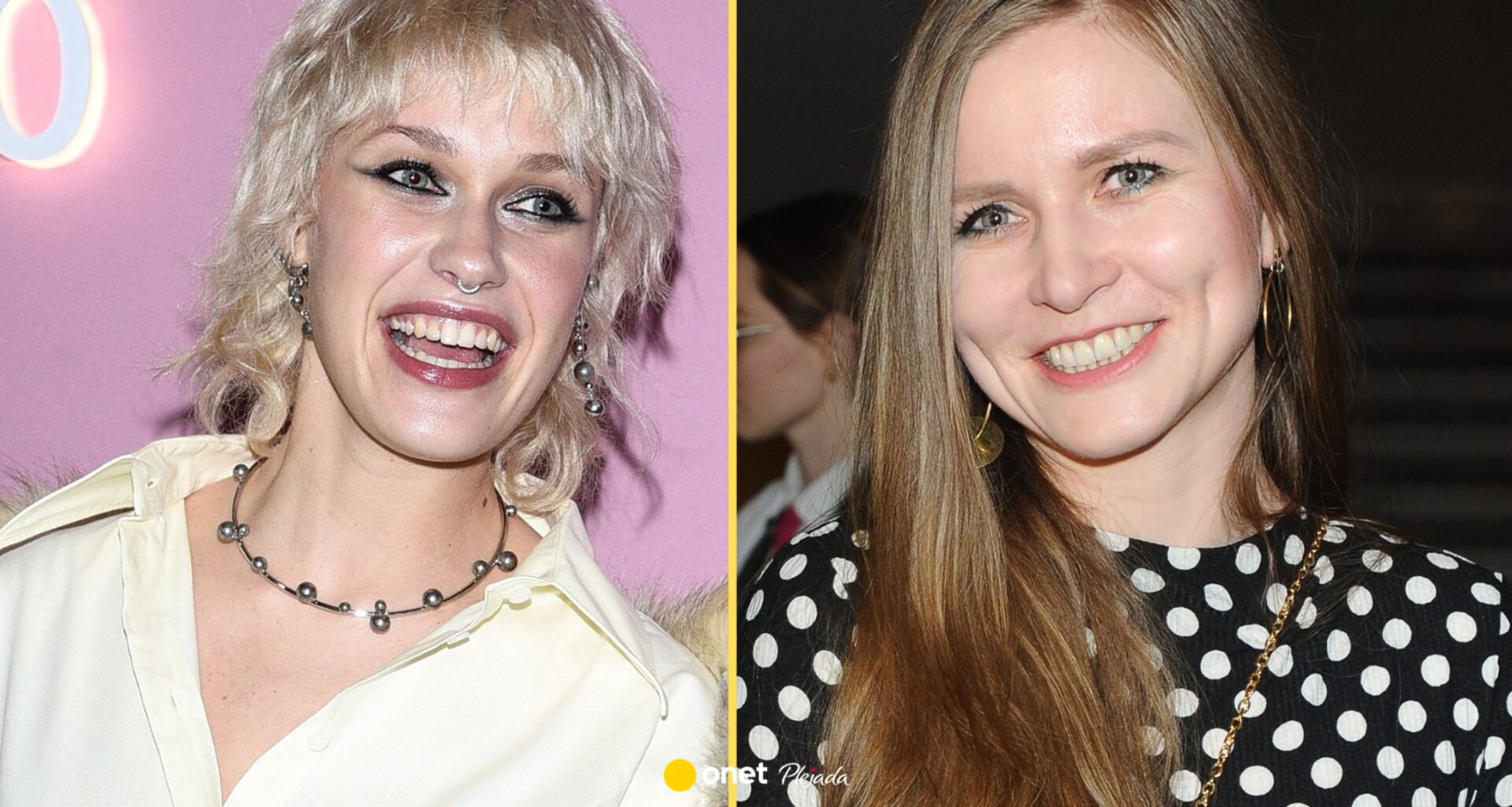 Dorota Masłowska uderza w piosenkę Heleny Englert. "Żądam natychmiastowego usunięcia"