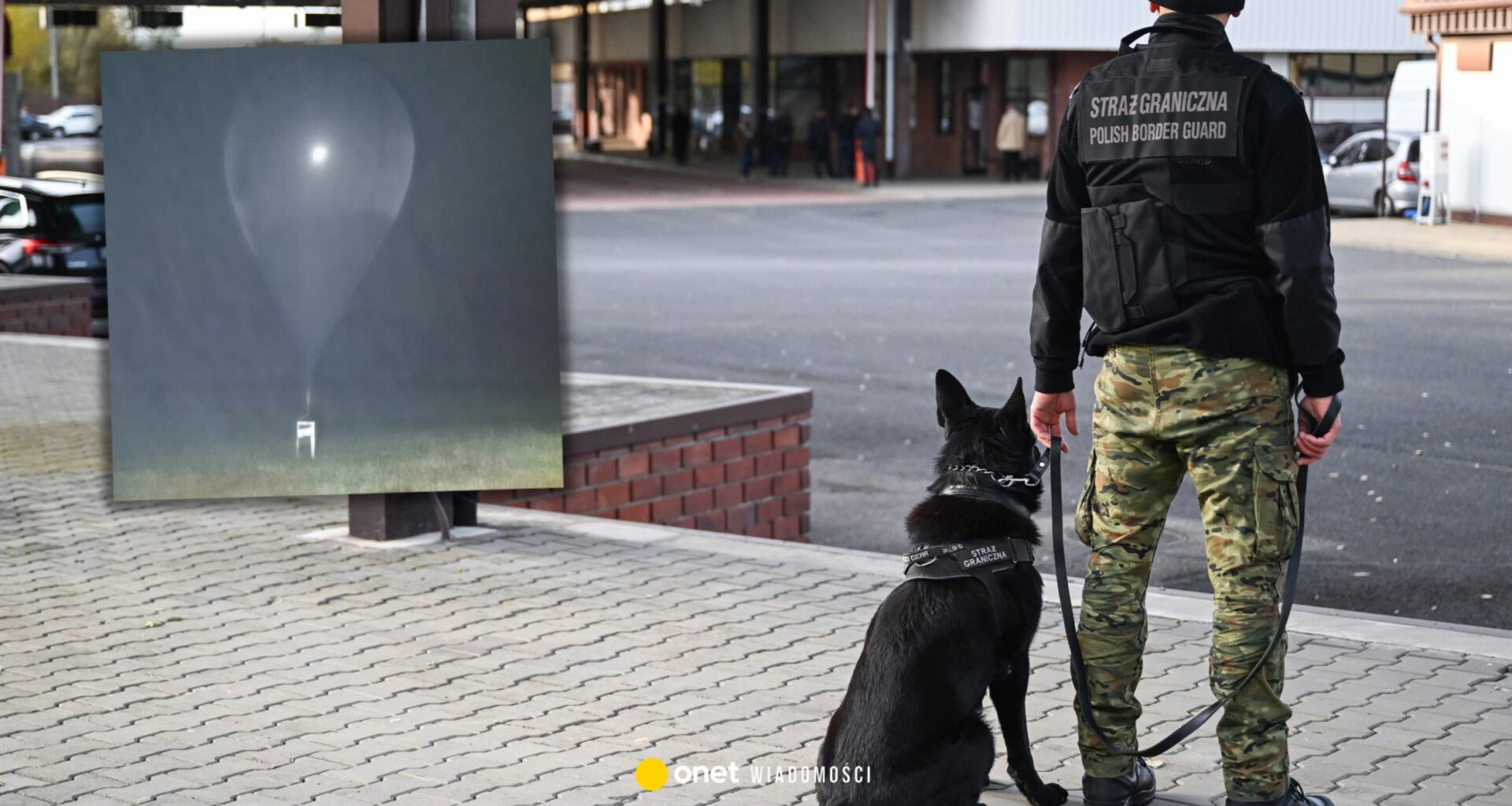 Tak rozpoznasz balon z Białorusi. Mińsk wysyła je na potęgę