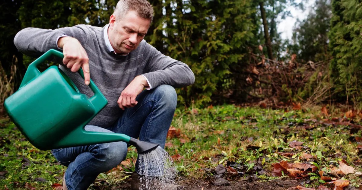 Kupił prawa do nietypowych ołówków. Nie spodziewał się, jaki biznes z tego wyrośnie