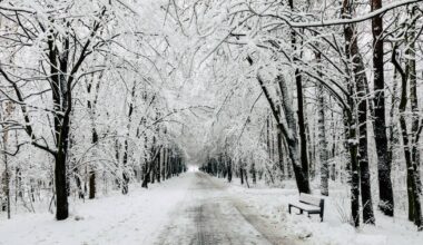 Czy Boże Narodzenie będzie białe? Meteorolodzy mają najnowsze dane