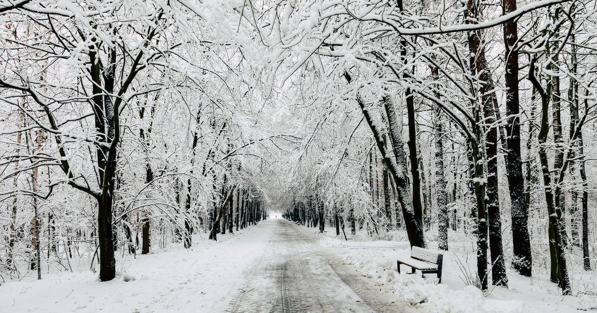 Czy Boże Narodzenie będzie białe? Meteorolodzy mają najnowsze dane