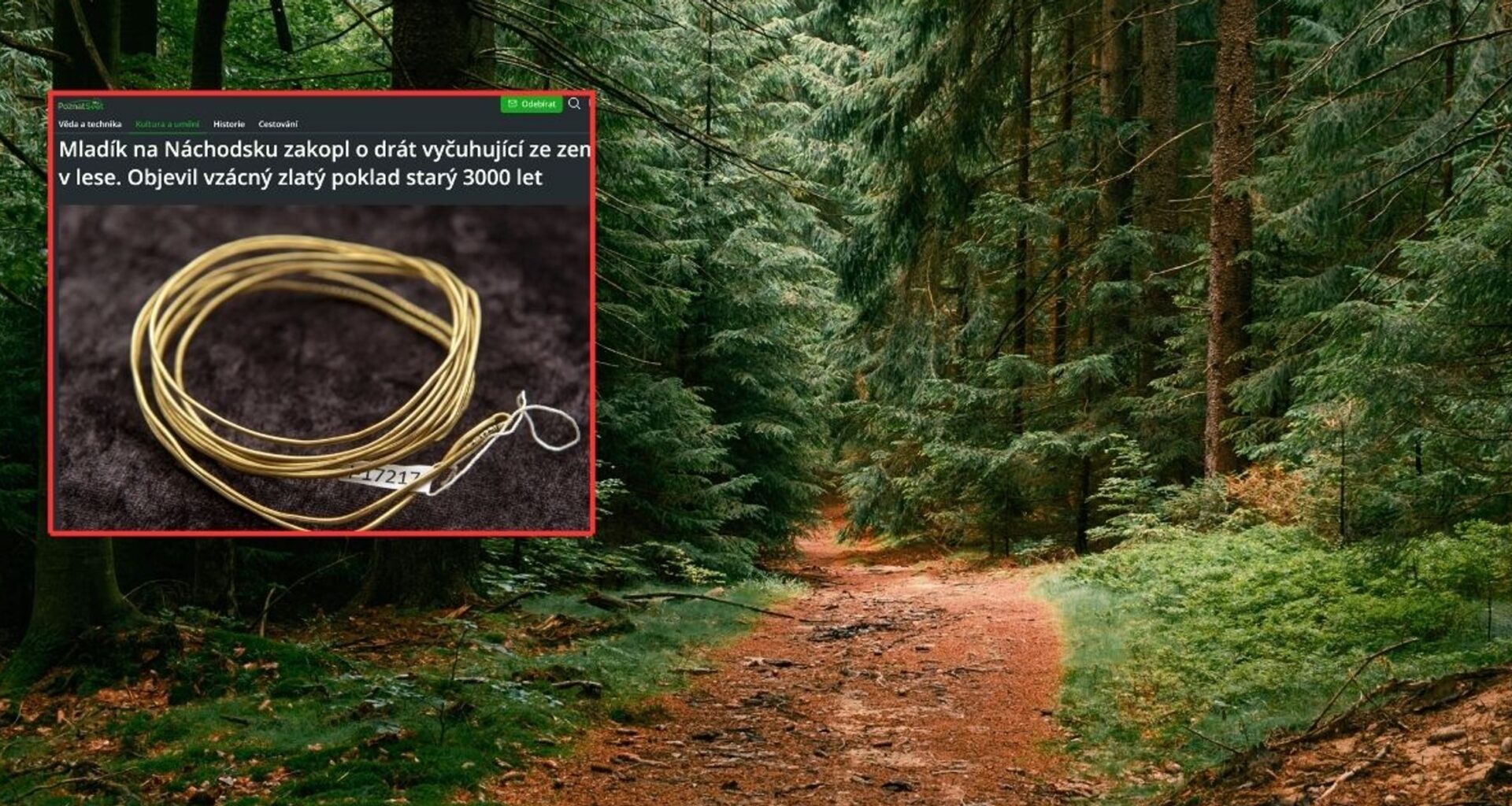 Zobaczył drut wystający z ziemi w lesie. Okazało się, że to 3000-letni skarb (screen: poznatsvet.cz)