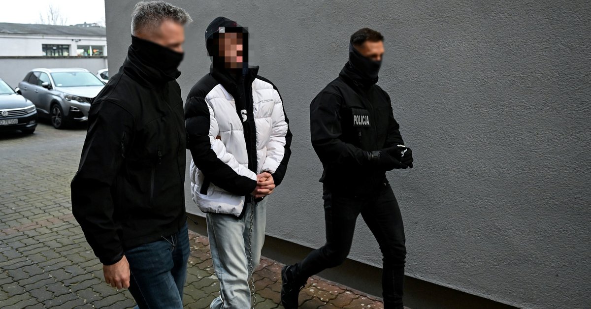 Poćwiartował ciało współlokatora i zakopał w parku. Są zarzuty dla 19-letniego Alana