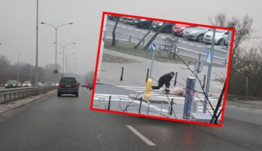 Kierowca wjechał w ogrodzenie. 20-latek po wypadku trafił do szpitala