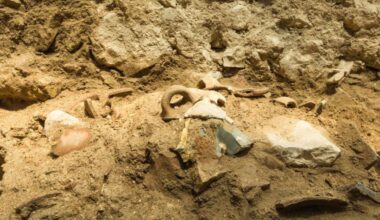 Huragany gwałtownie przyśpieszyły. Porywy powyżej 300 km/h nowym standardem?