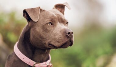 Silne trzęsienie ziemi w Japonii. Jest ostrzeżenie przed tsunami