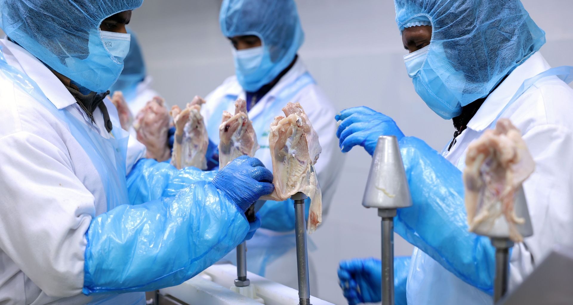 Ile kosztuje funt? Kurs funta do złotego PLN/GBP 22.12.2025