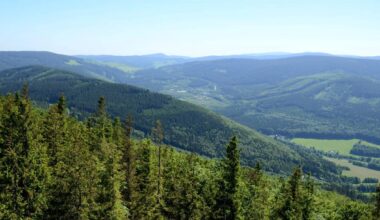 Putin chwali swój czołg. W Ukrainie pada jak mucha