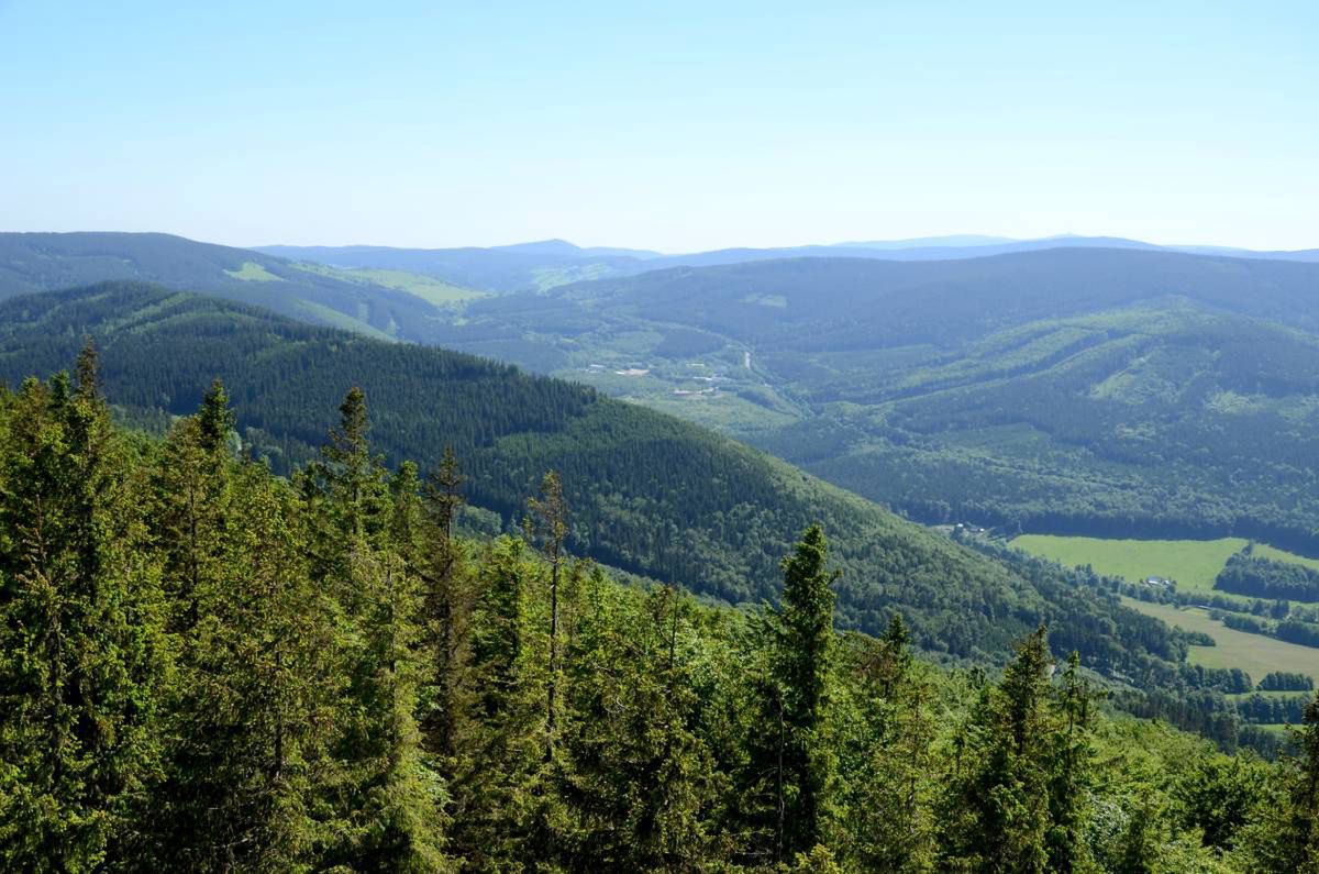 Putin chwali swój czołg. W Ukrainie pada jak mucha