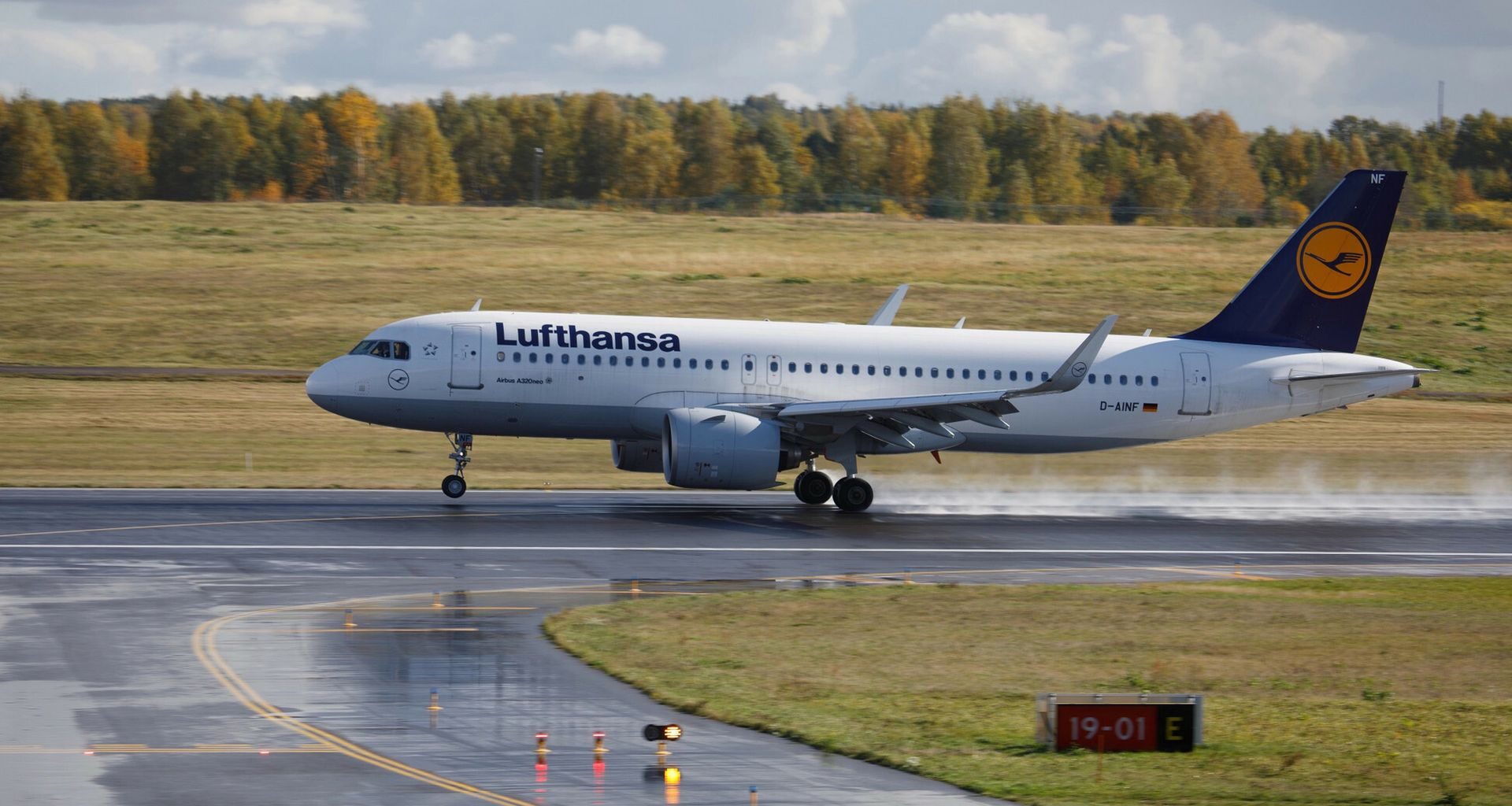 Ile kosztuje dolar? Kurs dolara do złotego PLN/USD 01.12.2025