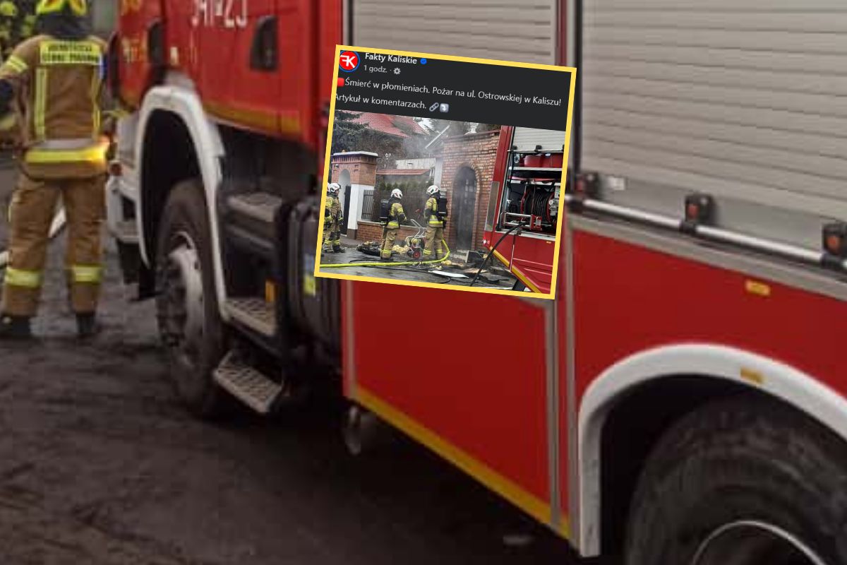 Sąsiedzi z piekła rodem. Wyrok ws. nękania Bożeny Wołowicz