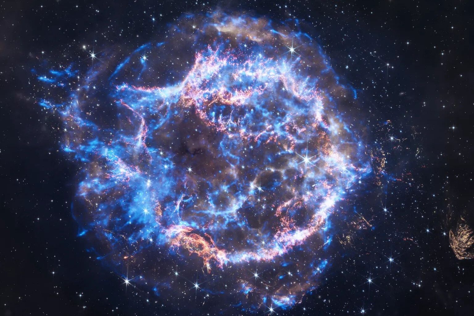 Wybrała się na spacer po lesie. Zdziwiła się tym, co odkryła