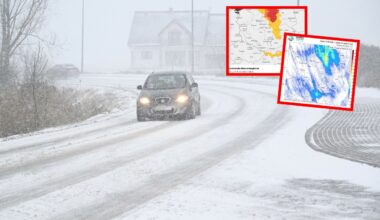 Atak amstaffa w Wągrowcu. Sprawą zajmuje się policja