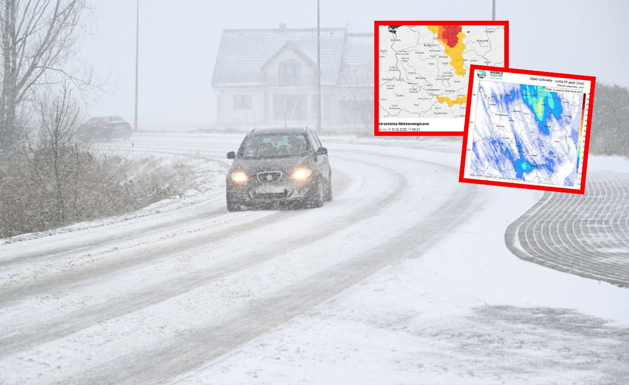 Atak amstaffa w Wągrowcu. Sprawą zajmuje się policja