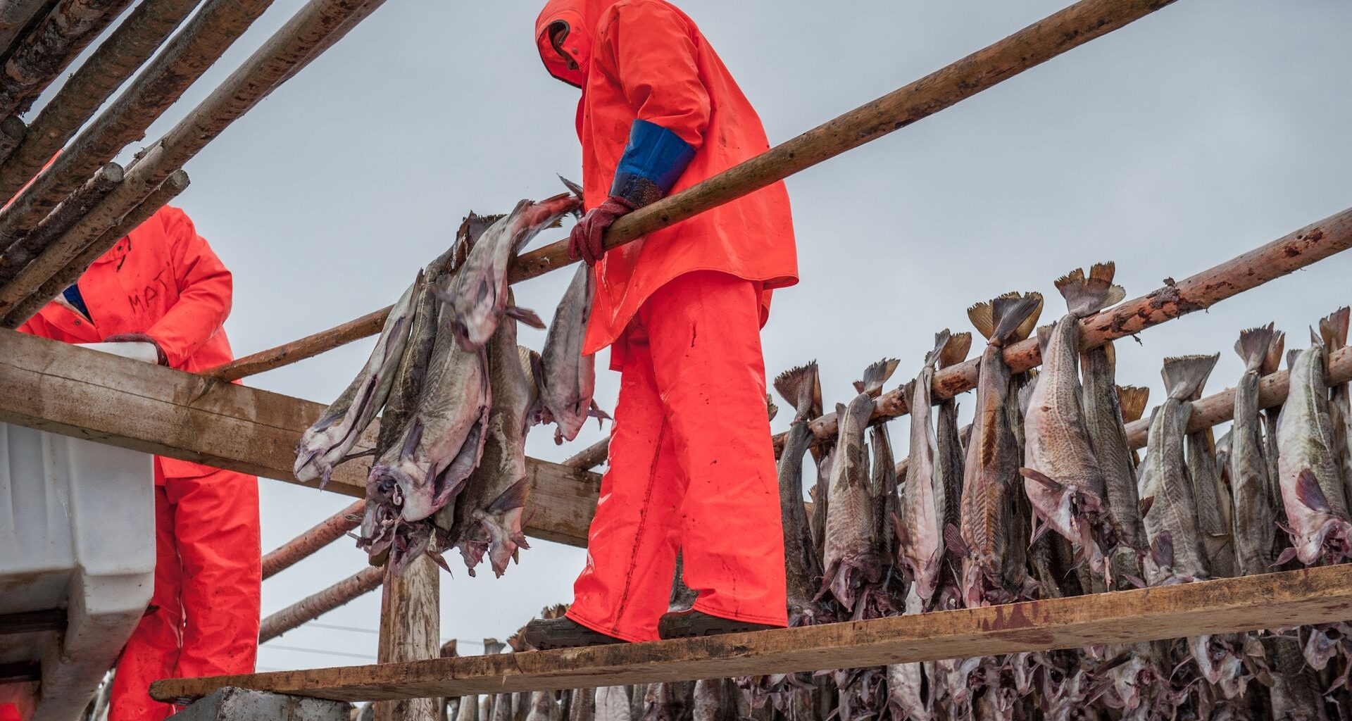 Pierwszy taki szczyt medyczny. Premier: NFZ nie jest bankrutem