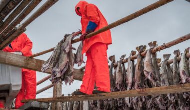 Pierwszy taki szczyt medyczny. Premier: NFZ nie jest bankrutem
