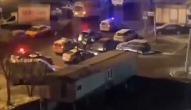 Okrutne znalezisko w gdańskim lesie. "Nielegalny proceder"